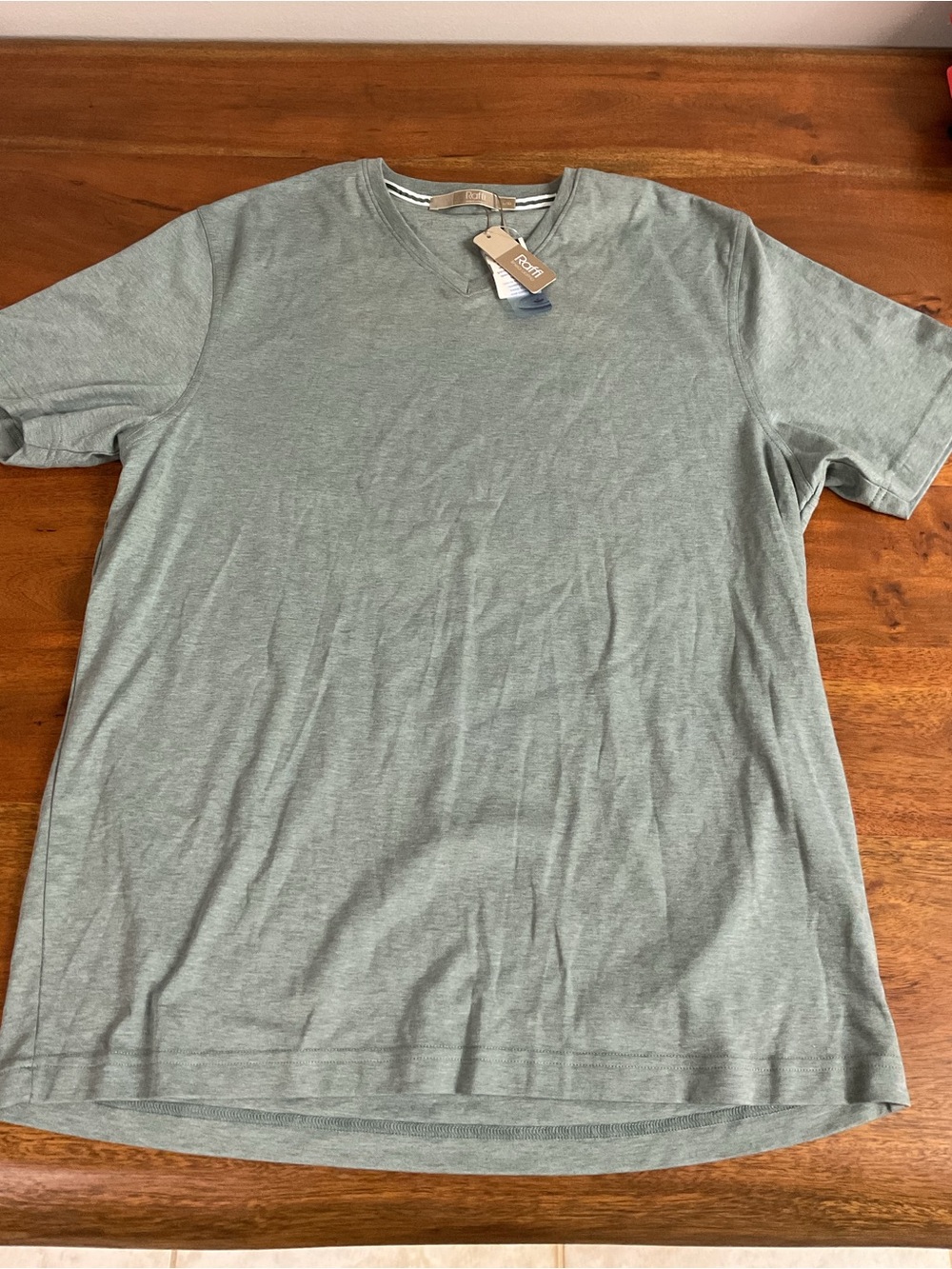 Brand New-Raffi Men's V-Neck Short Sleeve Shirt - Sage